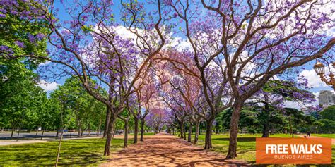 Palermo Parks in Buenos Aires | Buenos Aires Free Walks