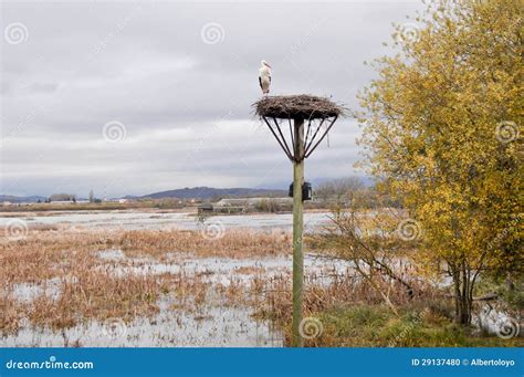 Salburua Park Vitoria Basque Country Spain Stock Photo Image Of