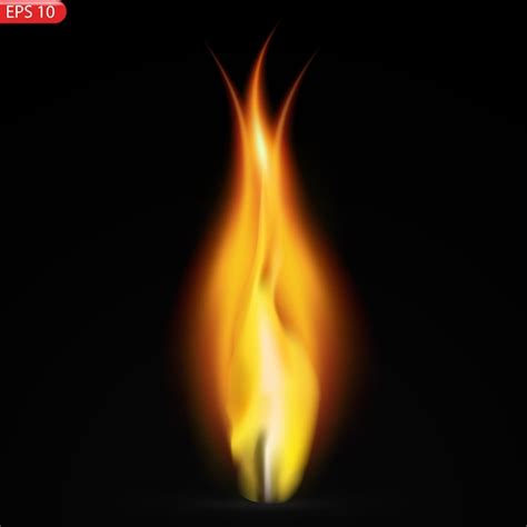 Premium Vector | Fire flames isolated on transparent background