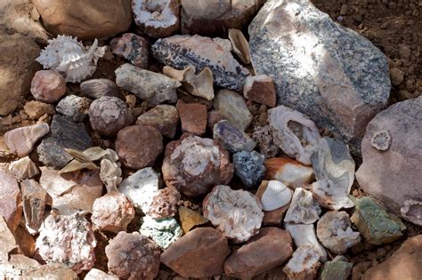 Free Images Rock Wood Pebble Soil Material Rocks Rubble