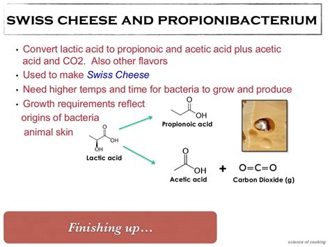 Classical Biotechnology: FERMENTATION