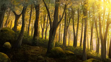 Autumn Forest Visual Novel Bg By Gin 1994 On Deviantart