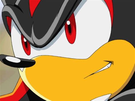 Shadow The Hedgehog Sonic X Screenshots