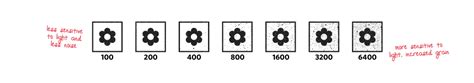 ISO-diagram » Whalebone