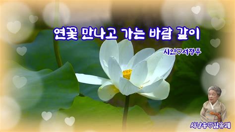 연꽃 만나고 가는 바람 같이 YouTube