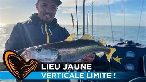 La pêche du lieu jaune en verticale avec Romain Pappalardo YouTube