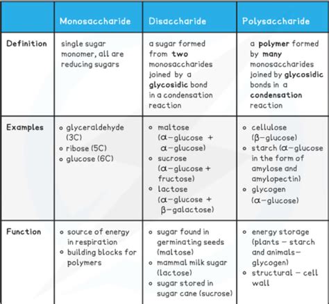 Carbohydrates Flashcards Quizlet