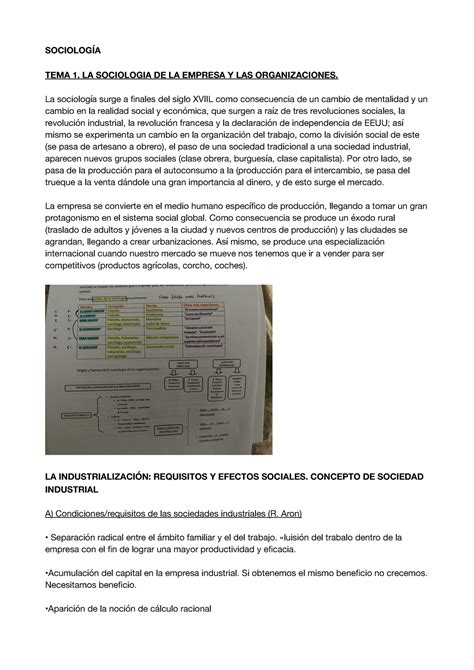 Sociología 1 Apuntes De Sociologia De Derecho Y Ade SociologÍa Tema