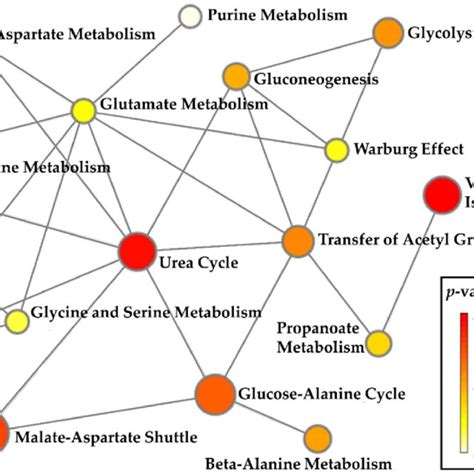 Metabolite Set Enrichment Analysis The Size And Color Varying From Download Scientific