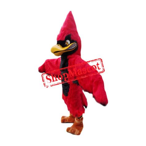 Superb Hawk Mascot Costume