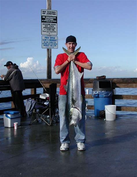 Newport Beach Balboa Pier Fishing Report All About Fishing