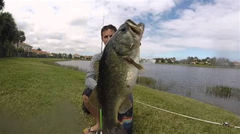 Monster Bass Fishing 12 Pounder And More Youtube