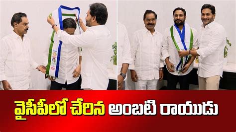 Ambati Rayudu S Political Innings Begins Joins Ysrcp With A Bang