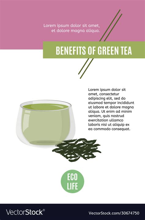 Hot Green Tea In Glass Cup And A Handful Vector Image