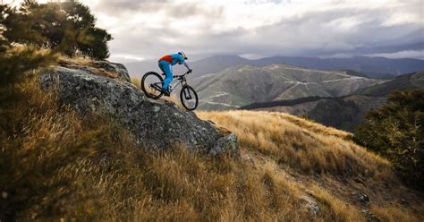 mountain biking places  ride  zealand top