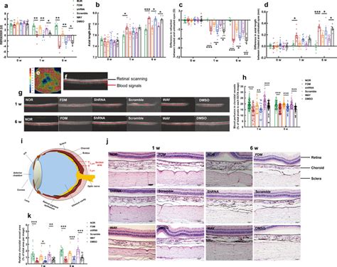 Genetic Knockdown Of Coch Gene Expression Or Pharmacological Blockade