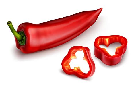 Red Chili Pepper Hot Spicy Paprika Cayenne Vector Art At Vecteezy