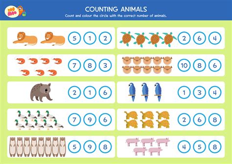 Counting Animals — ZooMoo