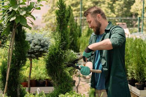 Raisons De Faire Appel Un Paysagiste Pour Am Nager Son Jardin