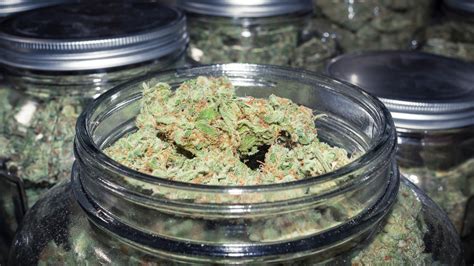 How Much is an Ounce of Weed in Recreational States? | Wikileaf