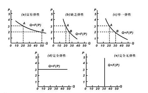 弹性函数公式是什么 百度经验