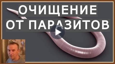 ОЧИЩЕНИЕ ОТ ПАРАЗИТОВ ПО СЕМЕНОВОЙ - YouTube