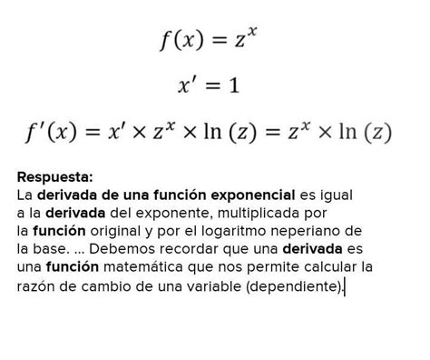 Características De La Derivada De Una Función Exponencial Doy Coronitaaaaa Brainlylat