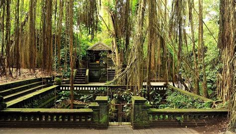 Wisata Alam Di Ubud Monkey Forest Bali Airpaz Blog