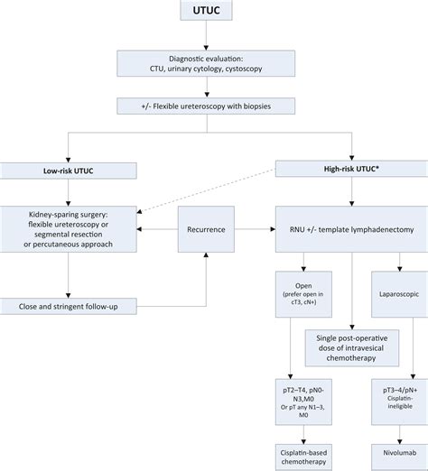 Upper Urinary Tract Urothelial Cell Carcinoma Disease Management Uroweb