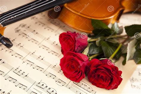 Beautiful Roses And Violin Stock Image Image Of Romantic Symbol