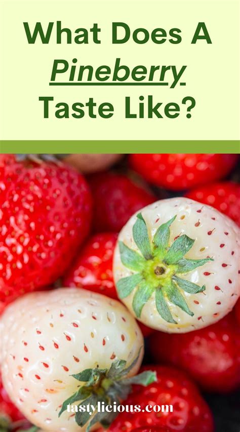 What Does A Pineberry Taste Like Tastylicious Fruits And