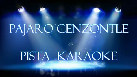 Pajaro Cenzontle Pista Karaoke YouTube