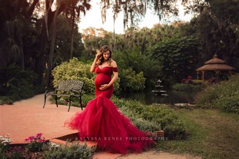 Garnet Red Ariel Maternity Photoshoot Dress Onesize Chicaboo