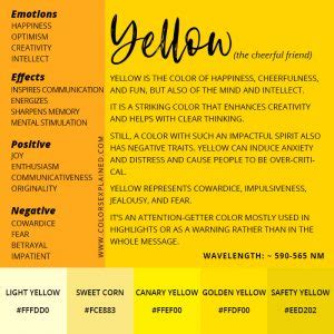 Meaning of the Color Yellow: Symbolism, Common Uses, & More