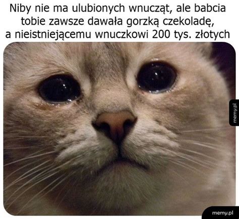 Maciej To Nie Imie Maciej To Gruba Pizda Memy Pl