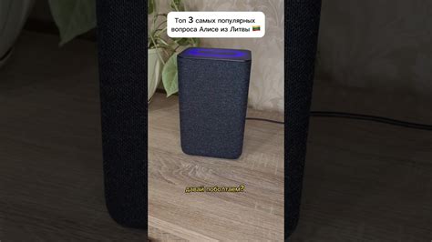 Будет ли работать умная колонка Алиса в Польше? 🇵🇱 #яндекс #колонка # ...