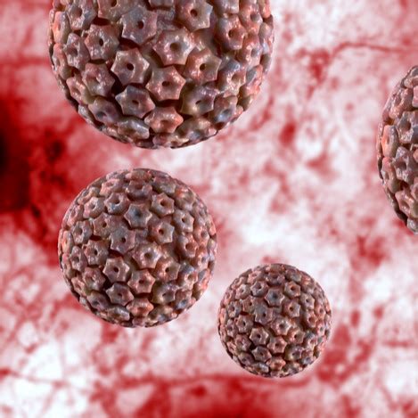 Herpes Genitale Nell Uomo E Nella Donna Come Si Manifesta