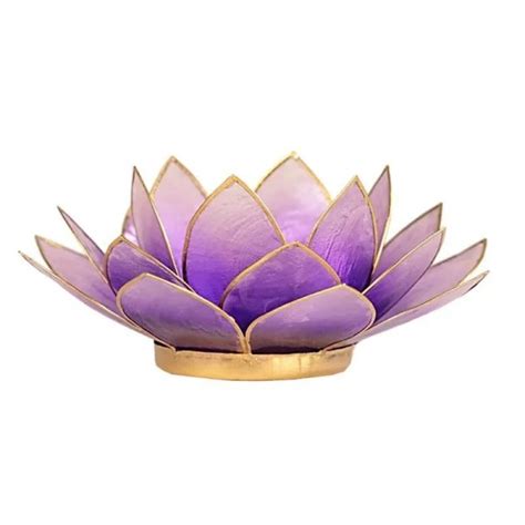 Photophore Lotus En Coquille De Capiz Violet Et Or Aquarienne Fr