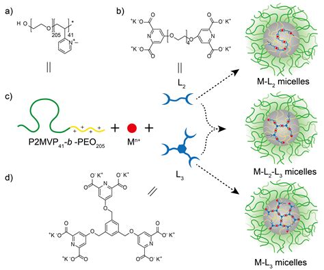 华东理工大学Martien A Cohen Stuart 课题组在超分子聚电解质自组装胶束领域取得新进展 中国聚合物网科教新闻