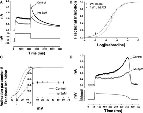 Effect Of Ivabradine On Iherg And Iherg‐1a1b A Upper Traces Show