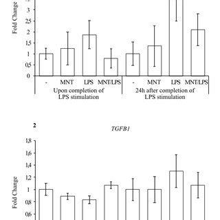 Effect Of Montelukast Pretreatment On The Expression Of Genes Involved