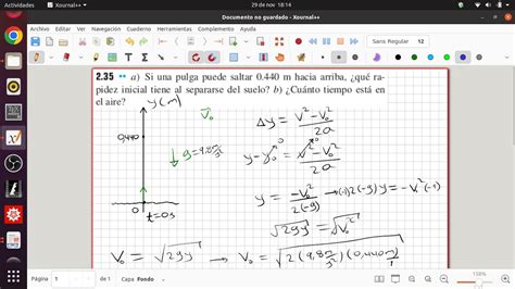 Salto de una Pulga Rapidez inicial y Tiempo de vuelo Física