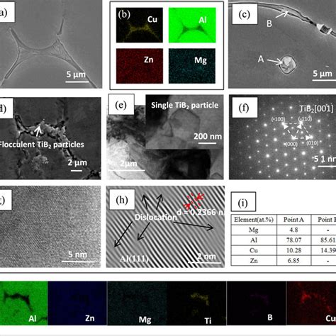 Scanning Electron Microscopy SEM Surface Morphology Elemental