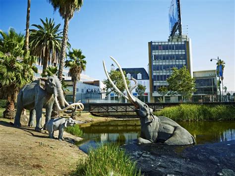 La Brea Tar Pits The Story Of An La Icon Discover Los Angeles