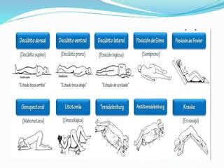 Posiciones Del Paciente Pptx