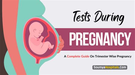 Tests During Pregnancy A Guide On Trimester Wise All Tests During