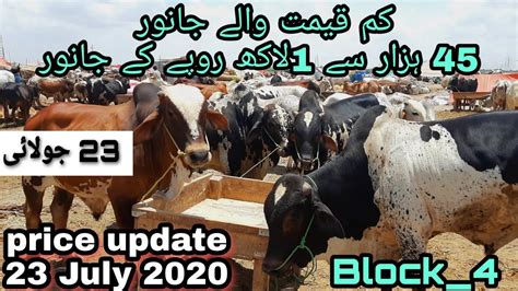 Maweshi Mandi Karachi Sohrab Goth Cattle Price Update Video