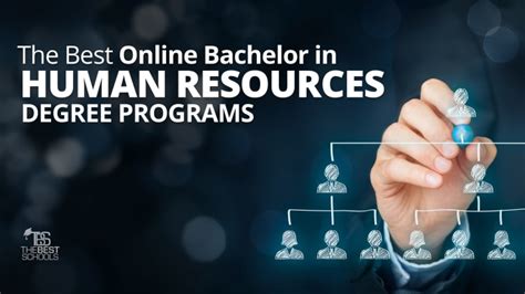 The Best Online Bachelor In Human Resources Degree Programs