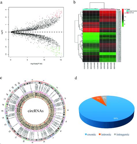 Differences And Characterization In Circrna Expression Profiles Between