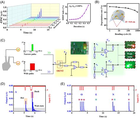 Flexible Optoelectronic Neural Transistors With Broadband Spectrum